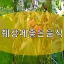 푸른녹즙이야기