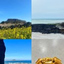 비자숲길15 | 제주 여행 동쪽 코스 추천 |성산일출봉,비자림, 동화마을 , 마음샌드 , 무료 입장 유채꽃밭