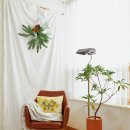 싱글하우스 이미지