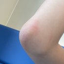 내사랑내곁에 | 내사랑 내곁에