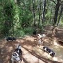 황토대중탕 이미지