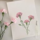 수채캘리그라피 이미지