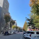충주타임치과의원 네이버블로그