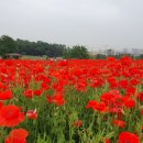 상상농장1 이미지