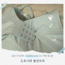 도로시와 쿨샷브라 노와이어 심리스 서포트 브라 얇은 옷 입어도 속옷라인 티 안 나는 여름 필수품 이미지