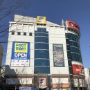 화정 세이브존 스포츠센터 수영 기초신규반 첫 수업 후기