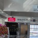 엠데코 | 💐[대구 엑스코] 엠컨벤션 결혼식 후기