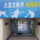 강창학체육공원 서귀포생활야구장 이미지