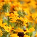 의정부초등학교 이미지