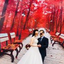 탑노블레스결혼정보 이미지