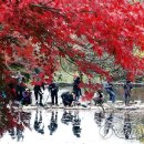 애기등 공원 이미지