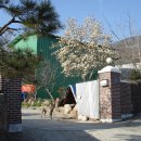 고갯마루 이미지