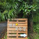 푸른팜 | 제주도 서귀포 화원 푸른팜사회적협동조합 펠롱꽃농장