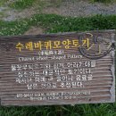 함안(순천) 이미지