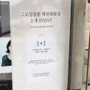 일공공일안경중앙점 | 제천 중앙시장미용실 그로잉살롱 채린쌤한테 염색하고 온 후기
