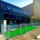 독크루 첨단점 이미지