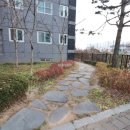 해뜰공인중개사사무소 이미지