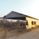 봉생리경로당 이미지