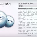에덴번역 이미지