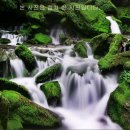 대기리마을회관 이미지