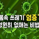 염증 잡고 면역력 높이는 좋은 음식 5가지 이미지