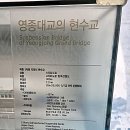 영종가설