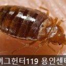 버그헌터119용인센터