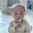 통통포크 | 14개월아기 자기주도스푼포크 잼먹 아기 수저 후기 단점