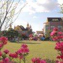 궁전유치원 이미지