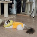 진현우동물병원 이미지