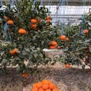 생규농장 이미지