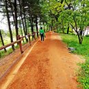 승기천로 이미지