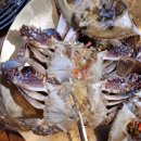 들꽃사랑 | 서울 근교 맛집 추천 찾다 발견한 들꽃한상, 간장게장 밥 두 공기 순삭한 솔직 후기