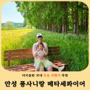 안성 아이와 가볼만한 곳 '풍사니랑 카페' 메타세쿼이아길 청보리밭 후기