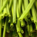 늘푸른건강마을 이미지