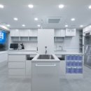 메리트원 동물의료센터 이미지