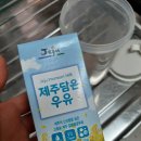 단백질 보충제 생애 처음 구매한 후기, 초코맛 좋아요 :-)