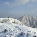 바람개비 - 서구 대덕대로185번길 58 | 바람개비