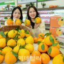 달콤마트 이미지
