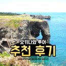 렌트투어 | 오키나와 북부투어 만좌모 추천 | 렌트없이 버스 투어 후기
