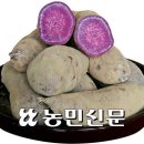 영농 노하우부터 농산물 아끼는 마음까지 배워 이미지