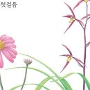 보타니컬아트(식물세밀화) 이미지