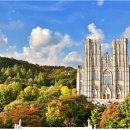 경희사이버대학교 호텔관광대학원 이미지