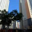 미사강변동일하이빌공인중개사사무소 이미지