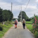 도리1리 이미지