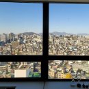 신논현역365약국 이미지