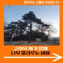 이천2리 | 고사목 제거 업체 나무 잘라주는 비용