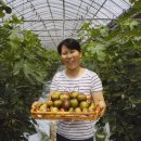 새날농장 이미지