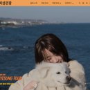 혜성관광 이미지