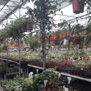 가서농장 이미지